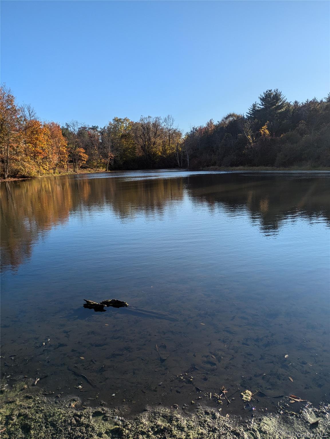 #10 photo, 179 E Glen Street, Kingston , NY 12401