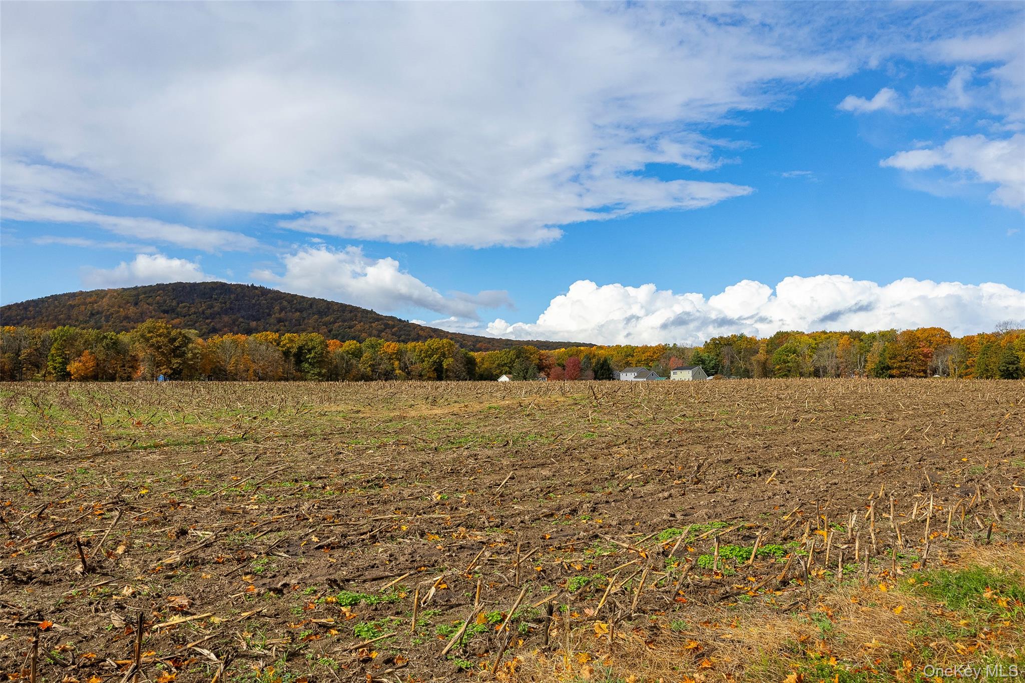 #4 photo, 82 Lake Road, Pine Plains , NY 12567