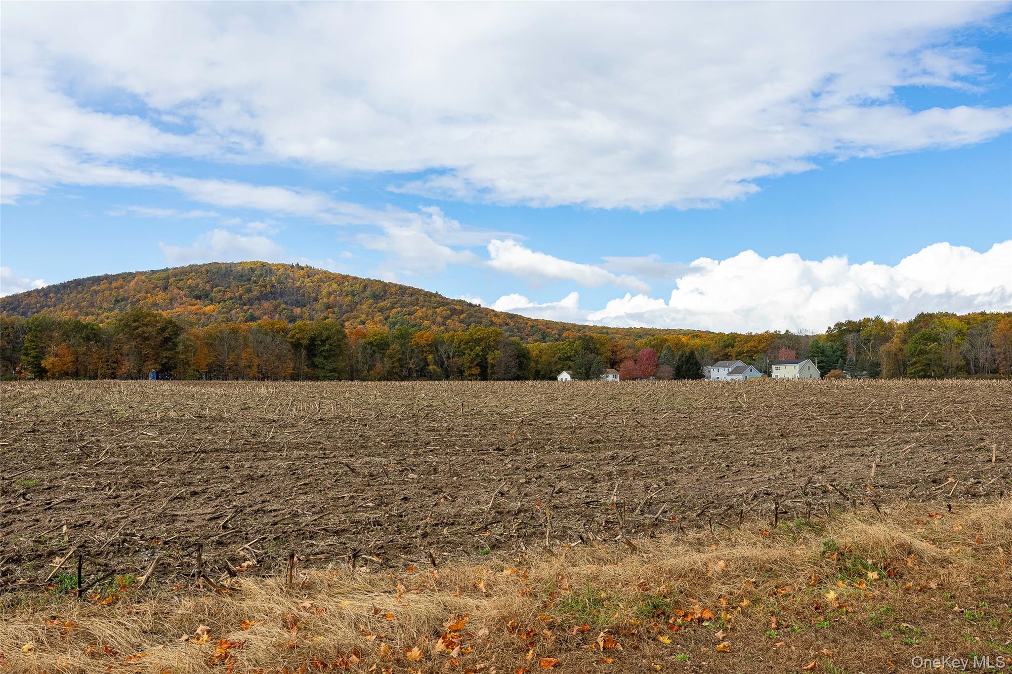 #5 photo, 82 Lake Road, Pine Plains , NY 12567