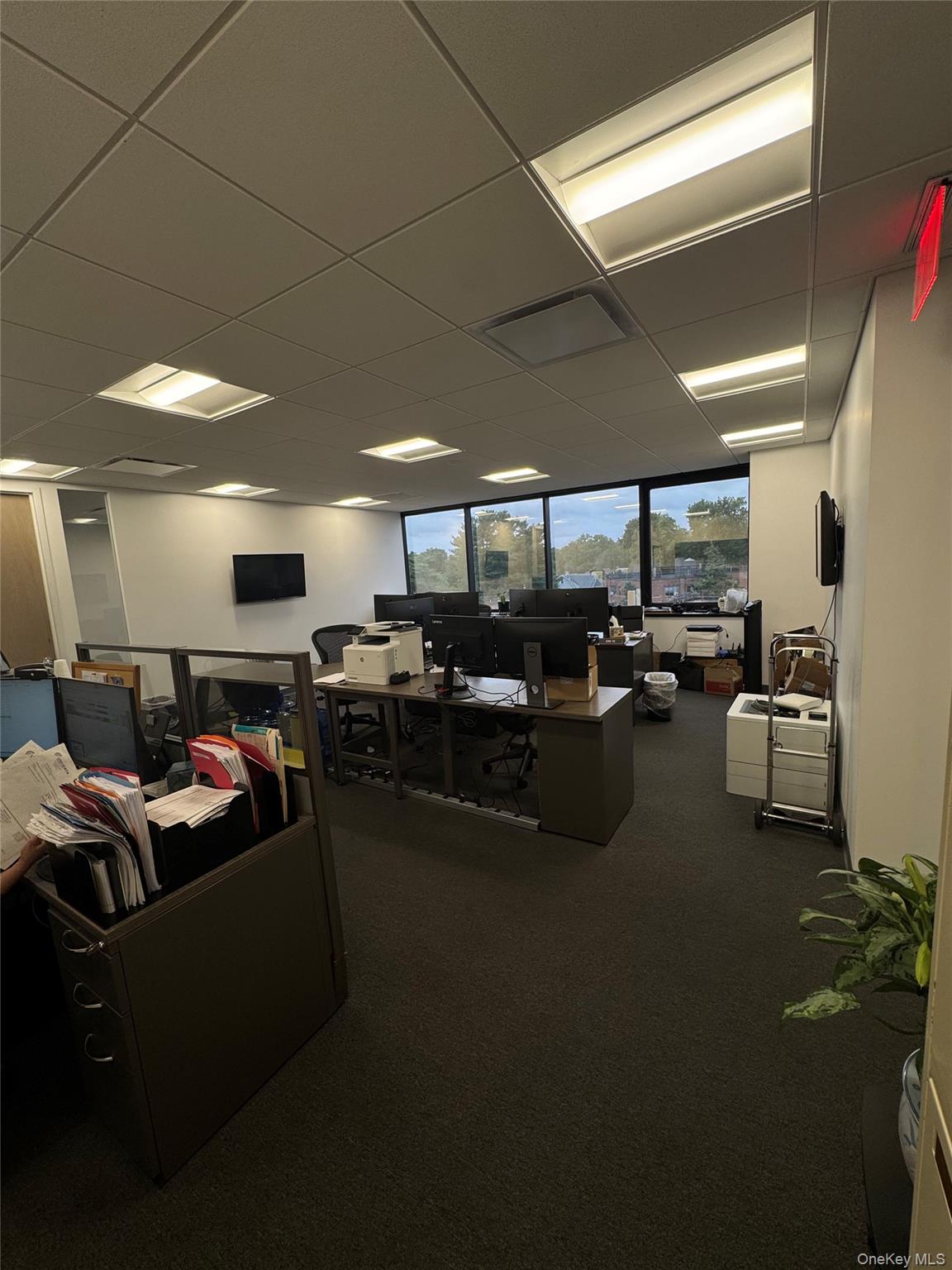 #5 photo, 60 Cuttermill Road, ナッソー郡 Great Neck , NY 11021