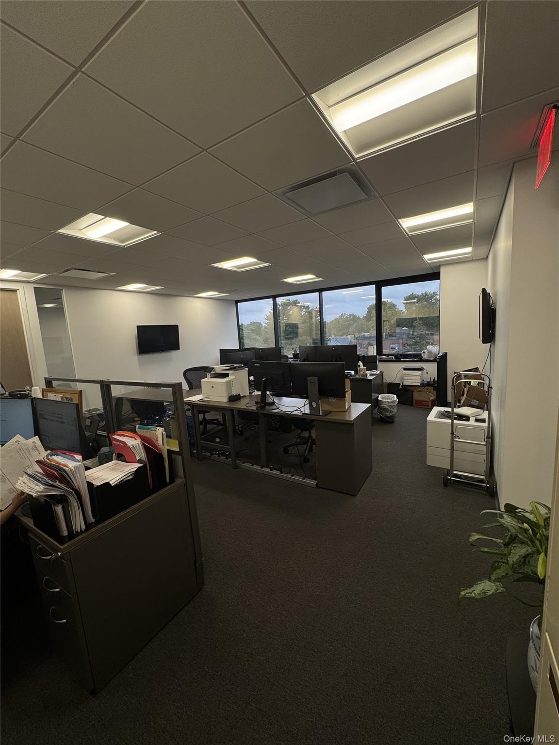 #6 photo, 60 Cuttermill Road, ナッソー郡 Great Neck , NY 11021