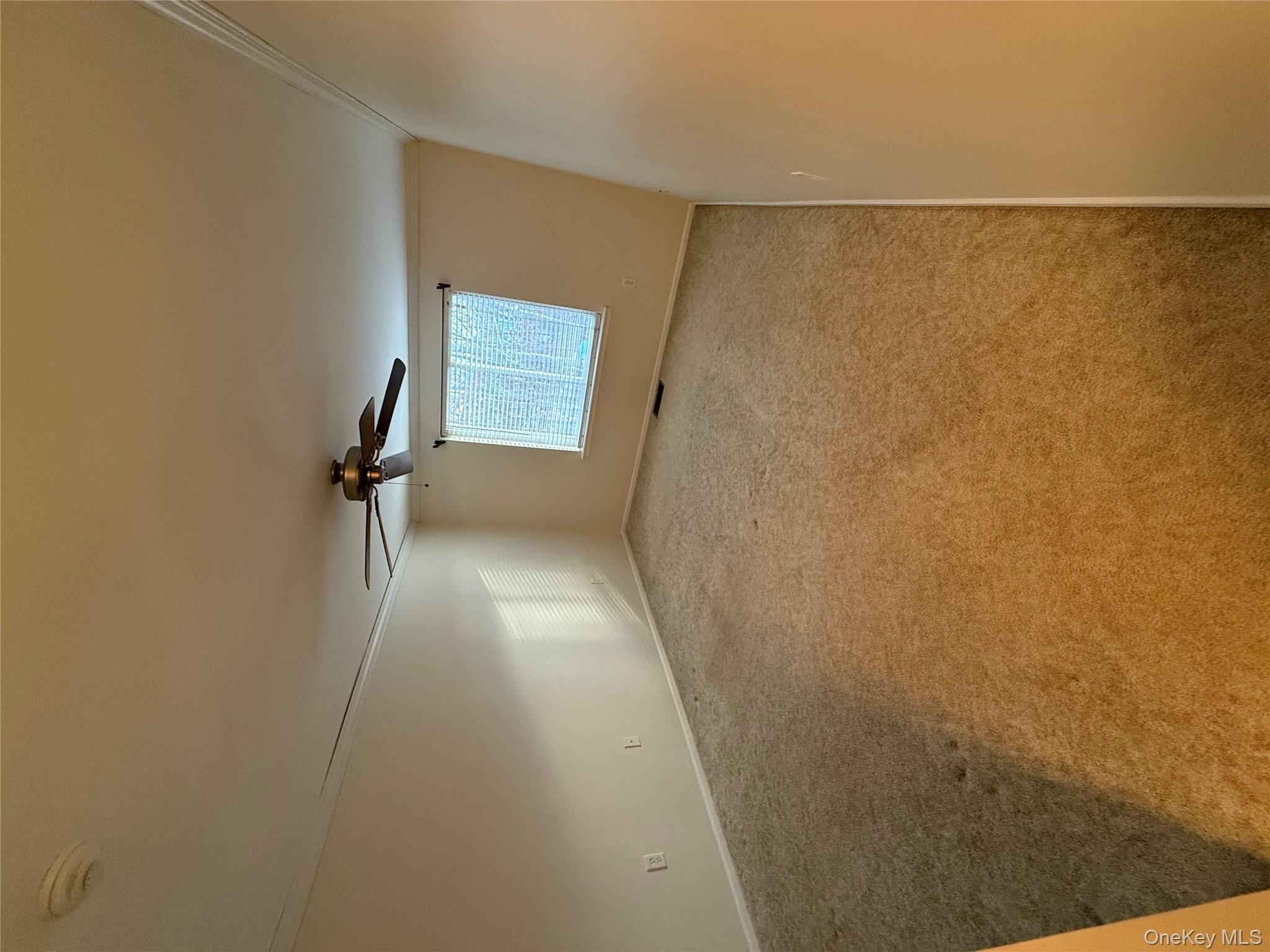 #16 photo, 586 Blue Ridge Drive, Medford , NY 11763