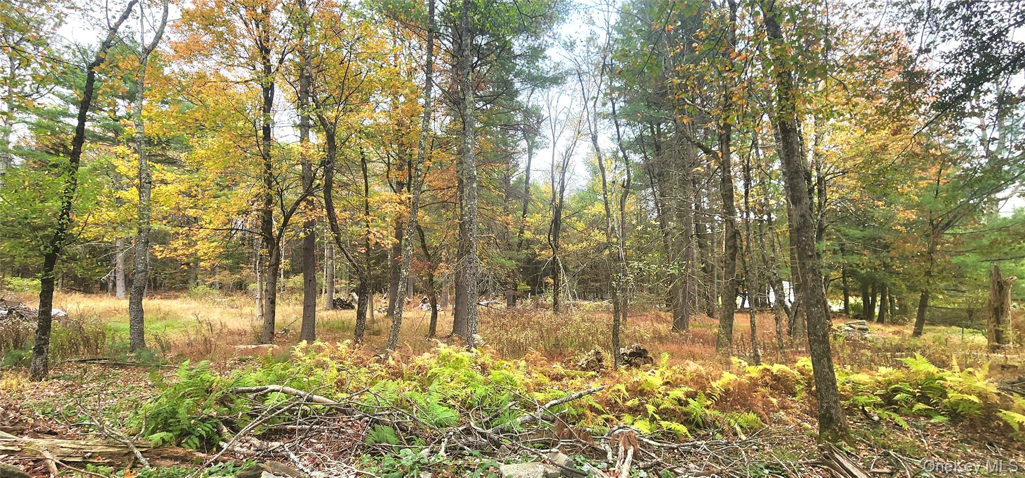 #1 photo, Kukas Road, Monticello , NY 12701