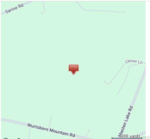 #1 photo, Park Avenue, Wurtsboro , NY 12790