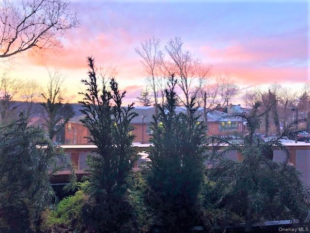 #16 photo, 565 Broadway, Hastings-on-Hudson , NY 10706