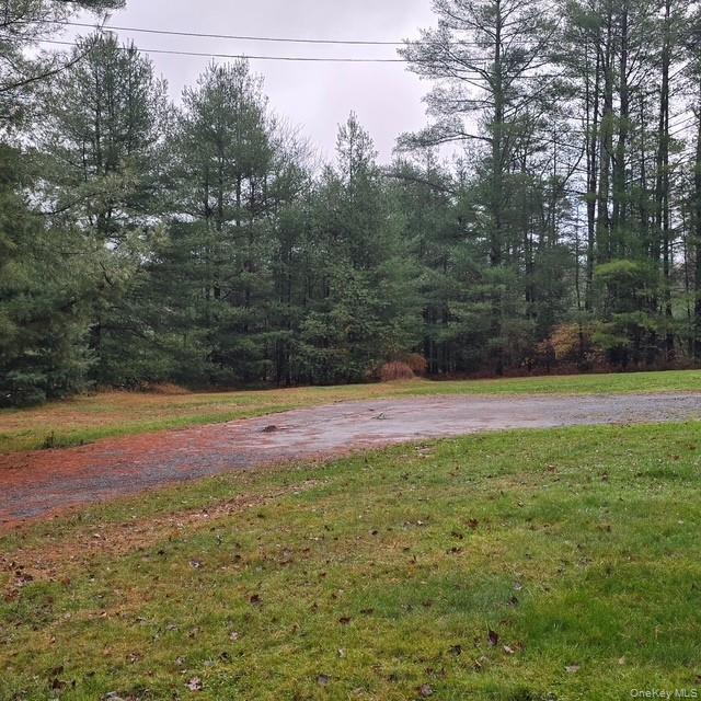 #11 photo, 2752 State Route 42, Forestburgh , NY 12777