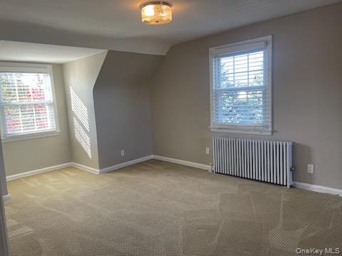 #16 photo, 214 Covert Avenue, ナッソー郡 Floral Park , NY 11001