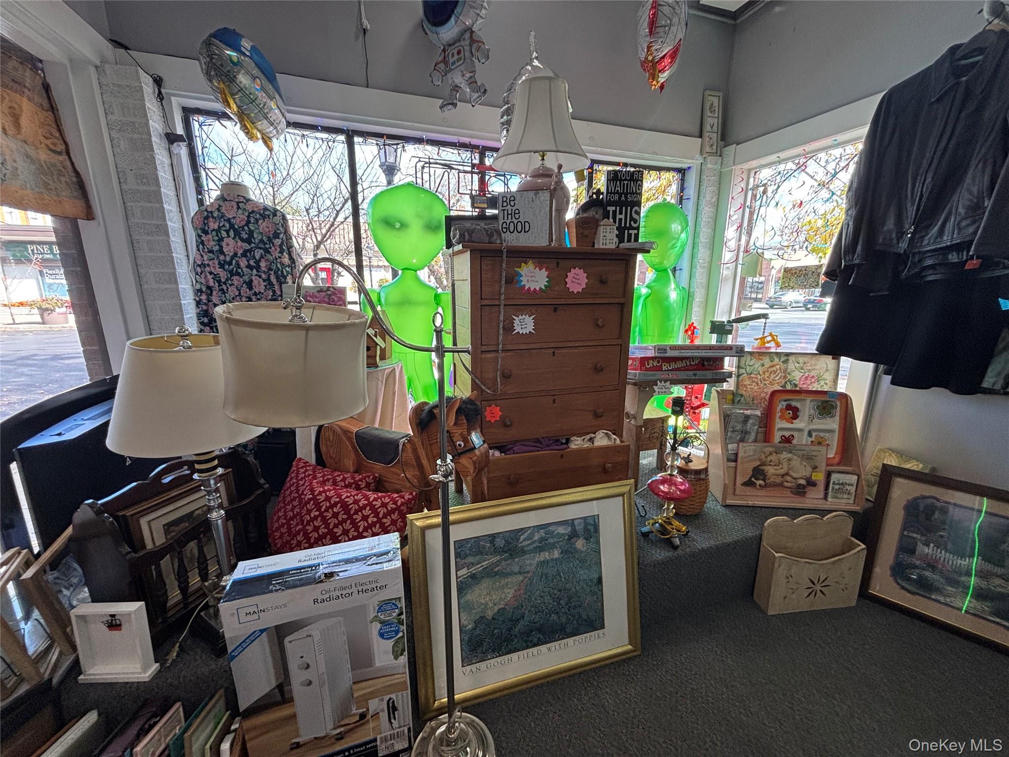 #9 photo, 65 Main Street, Pine Bush , NY 12566