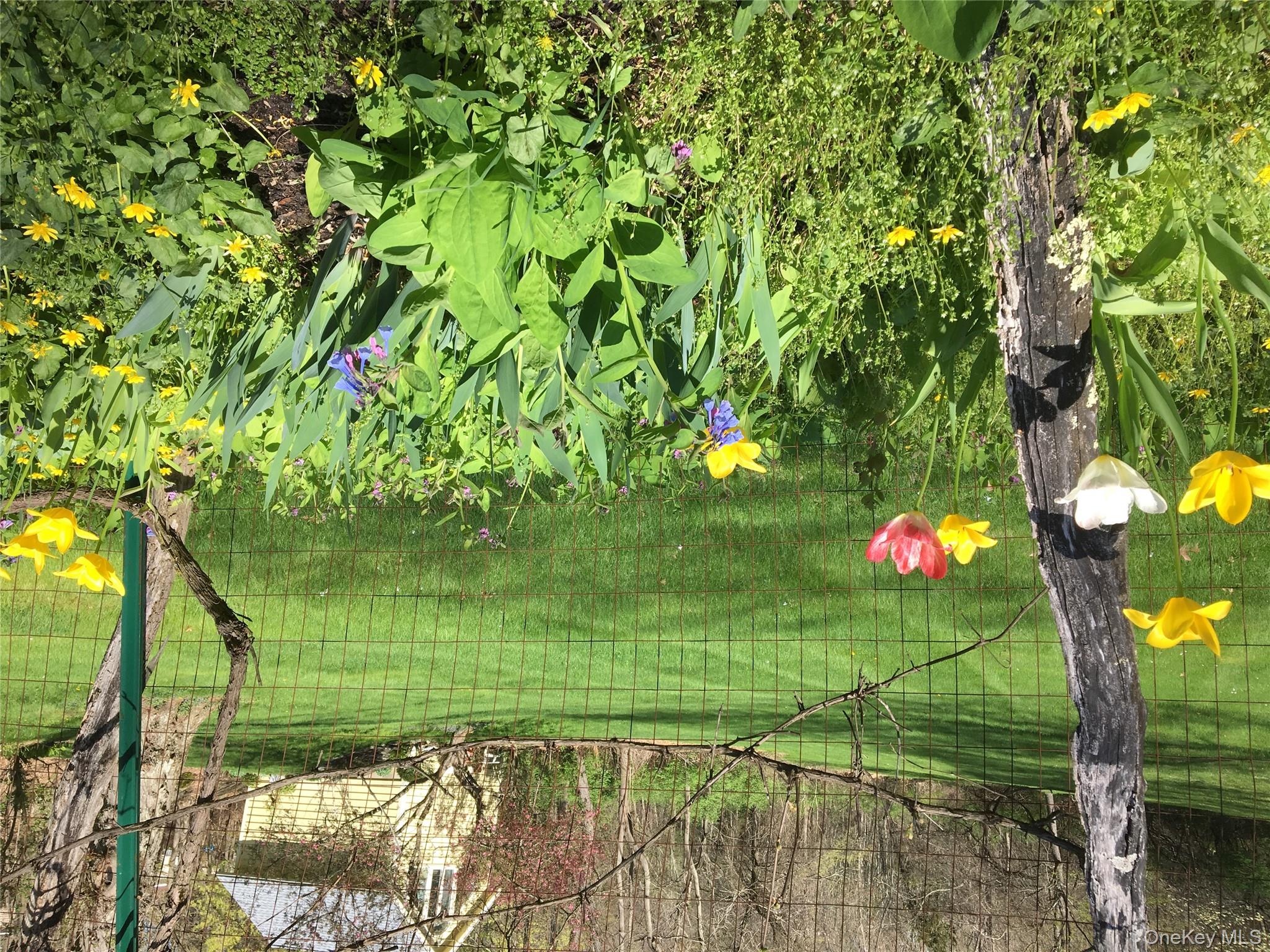 #12 photo, 43 McManus Terrace Terrace, Red Hook , NY 12571