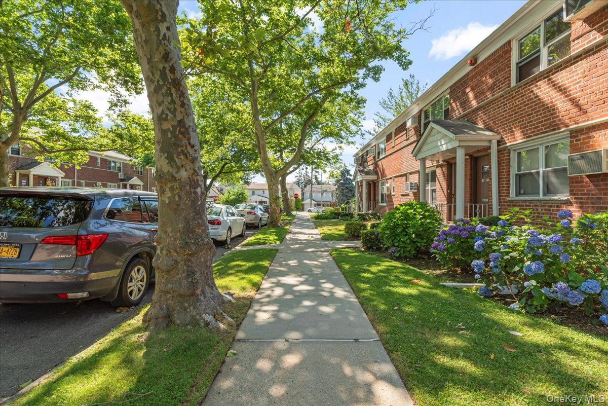 #3 photo, 87-44 Marengo Street, Holliswood , NY 11423