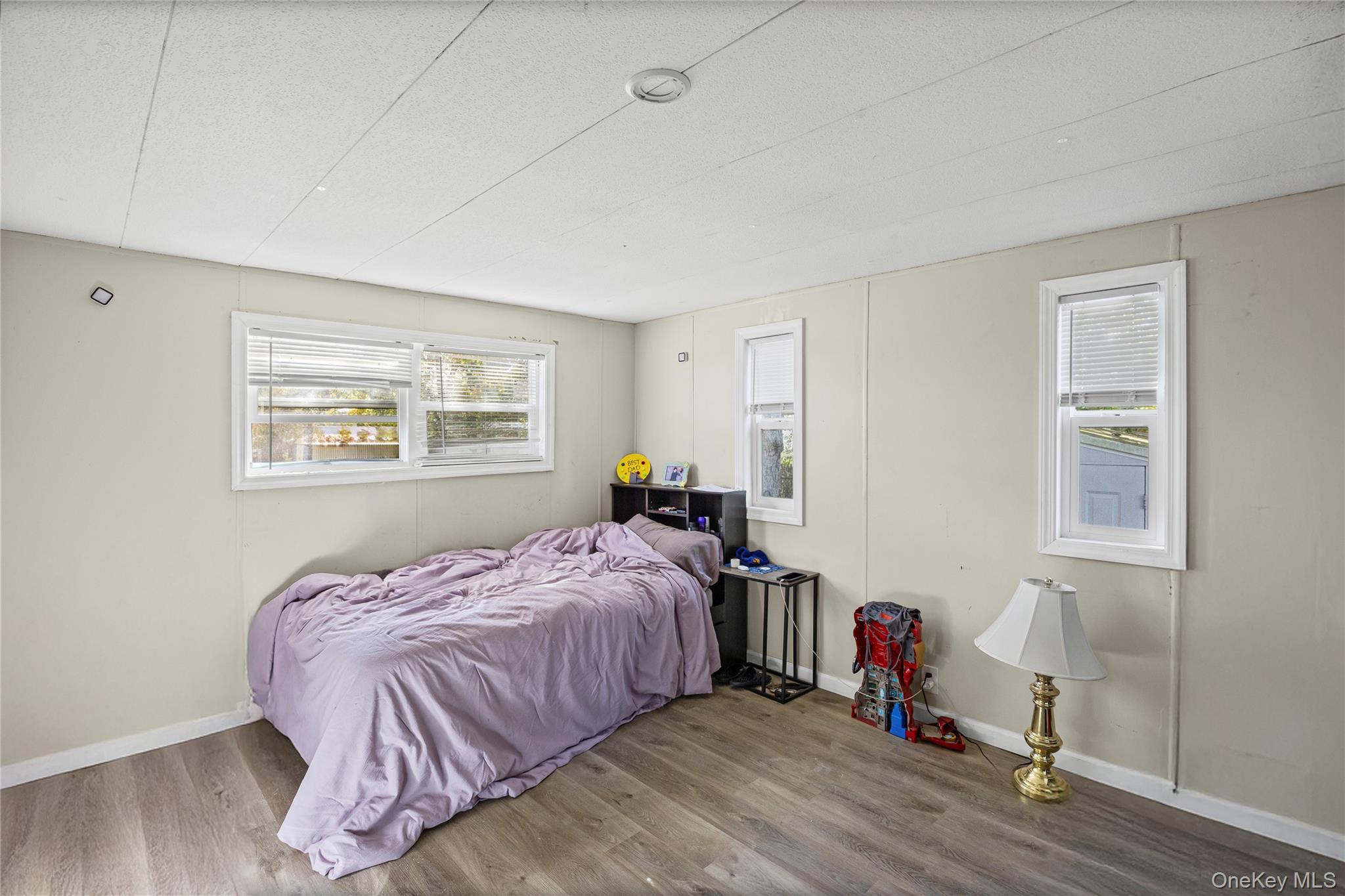 #17 photo, 40 Buttercup Dr, Bohemia , NY 11716