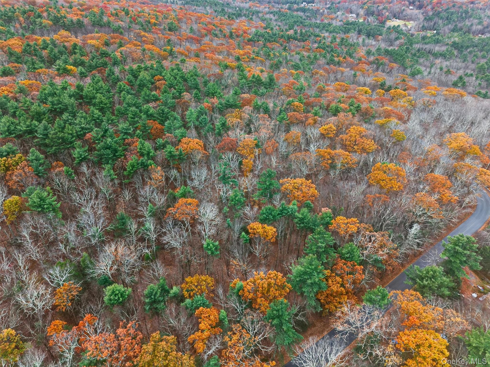 #1 photo, 36 Boehmler Road, Sparrowbush , NY 12780