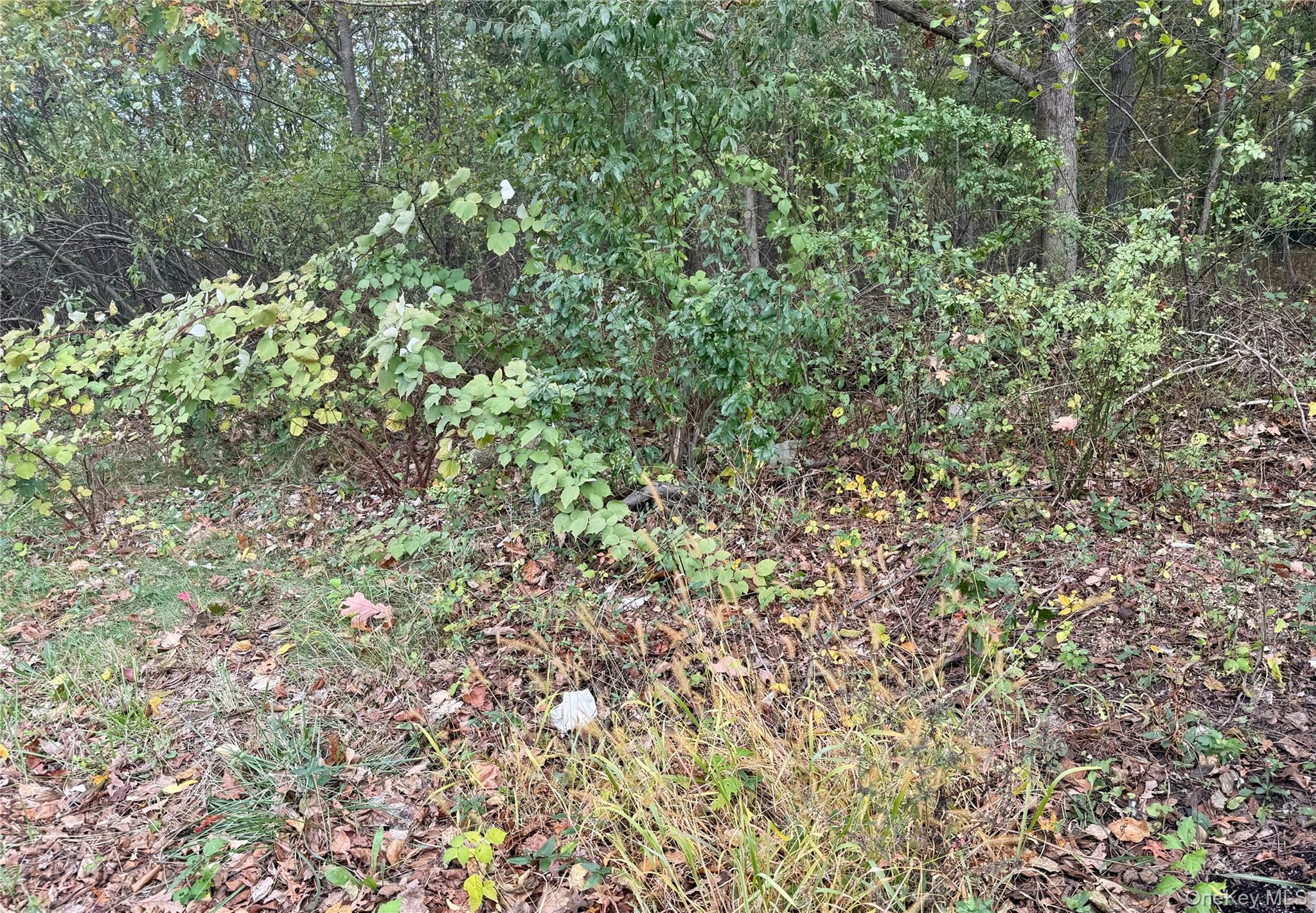 #1 photo, Phoenix Avenue, Port Jefferson Station , NY 11776