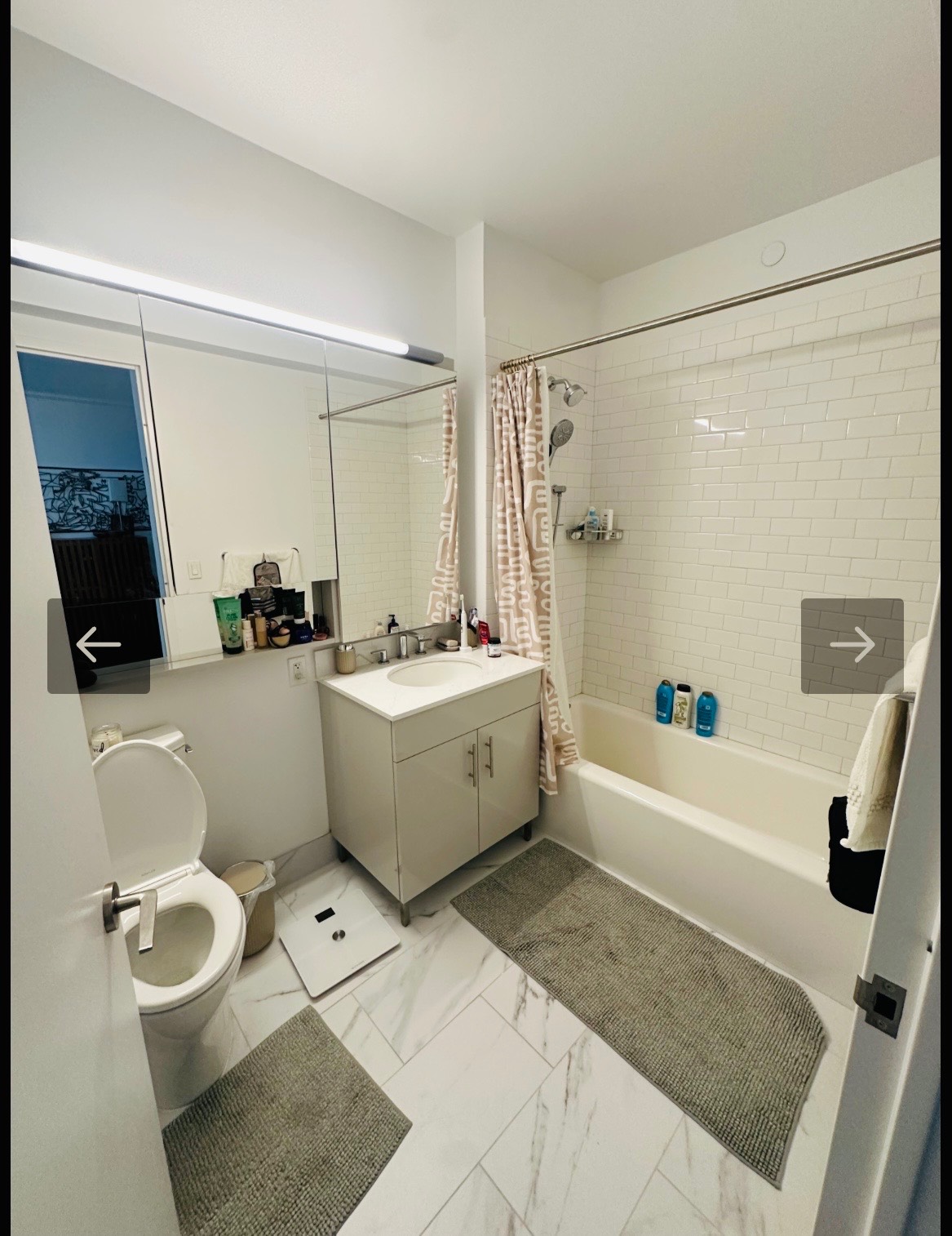 #6 photo, 2-20 Malta Drive, #1808, Long Island City , NY 11105