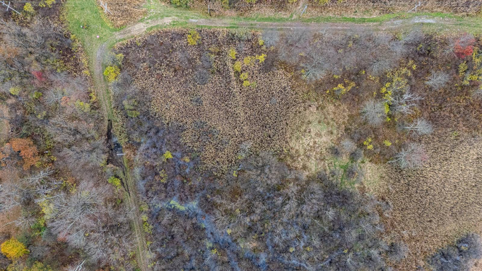 #65 photo, L11.1 Willet St, Florida , NY 10921