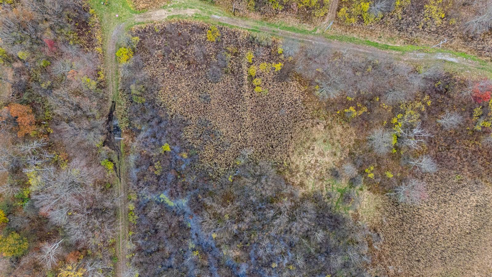 #66 photo, L11.1 Willet St, Florida , NY 10921