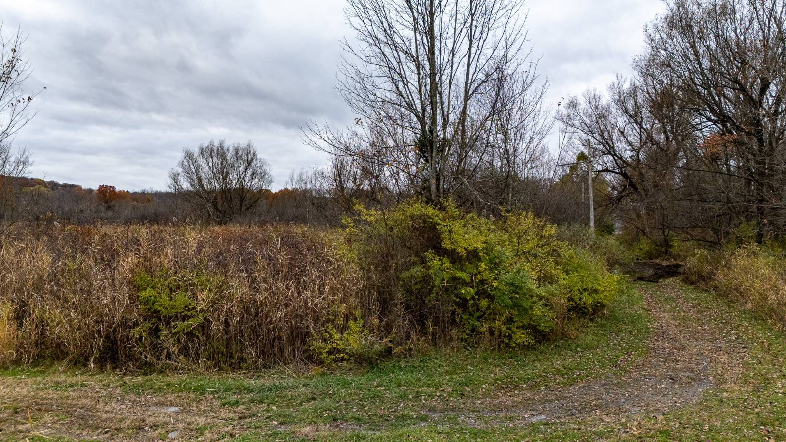 #67 photo, L11.1 Willet St, Florida , NY 10921