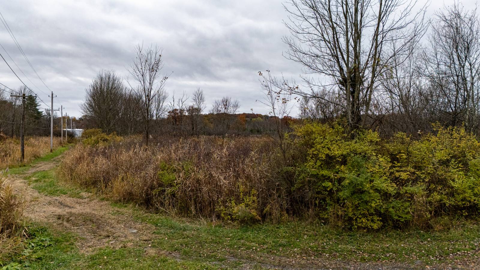 #68 photo, L11.1 Willet St, Florida , NY 10921