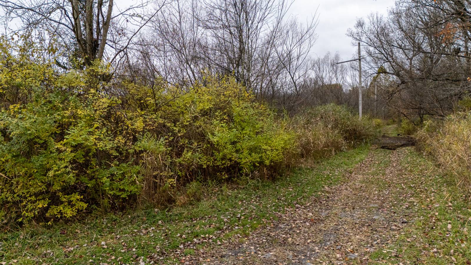 #69 photo, L11.1 Willet St, Florida , NY 10921