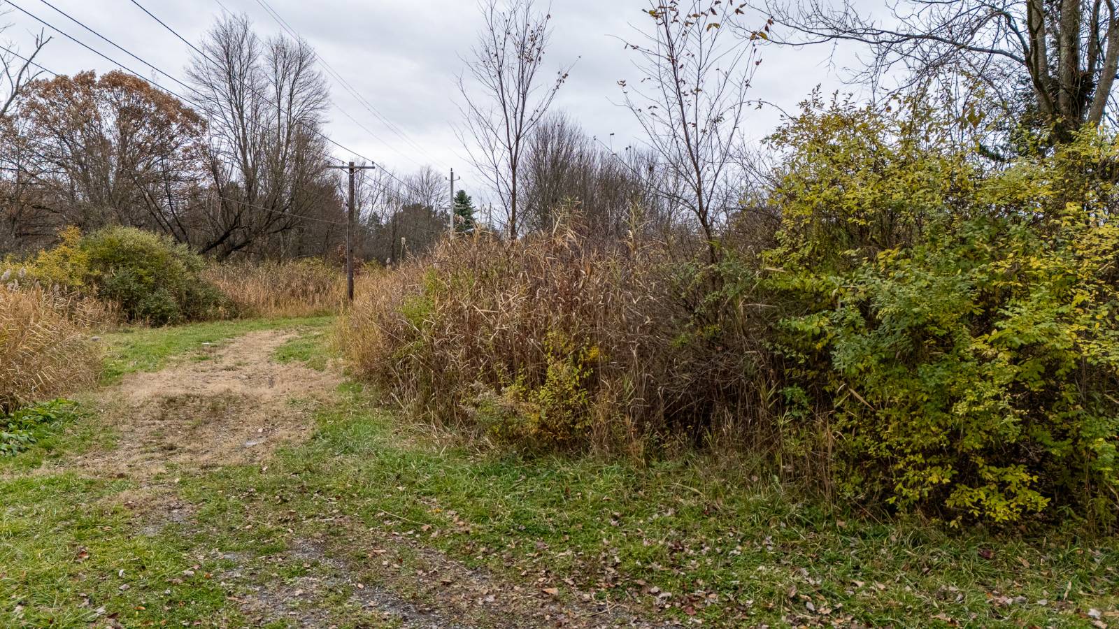 #70 photo, L11.1 Willet St, Florida , NY 10921