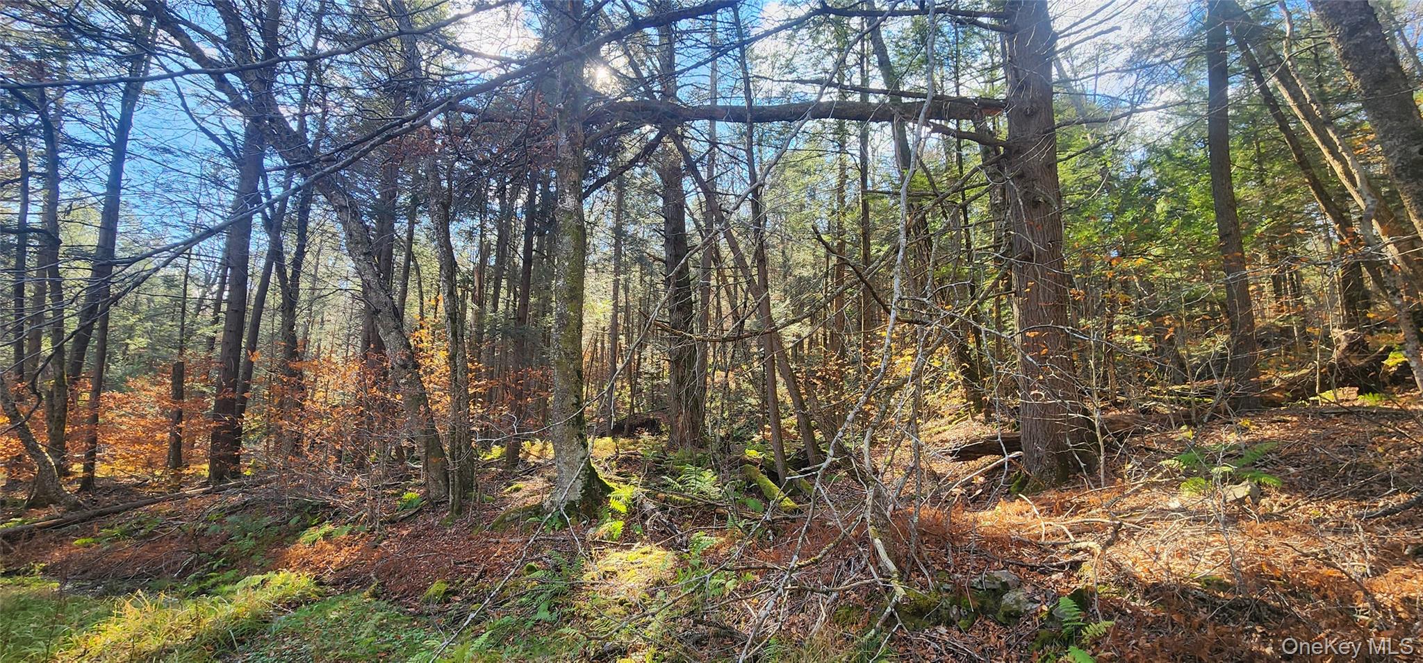 #10 photo, Hunter Road, Grahamsville , NY 12740