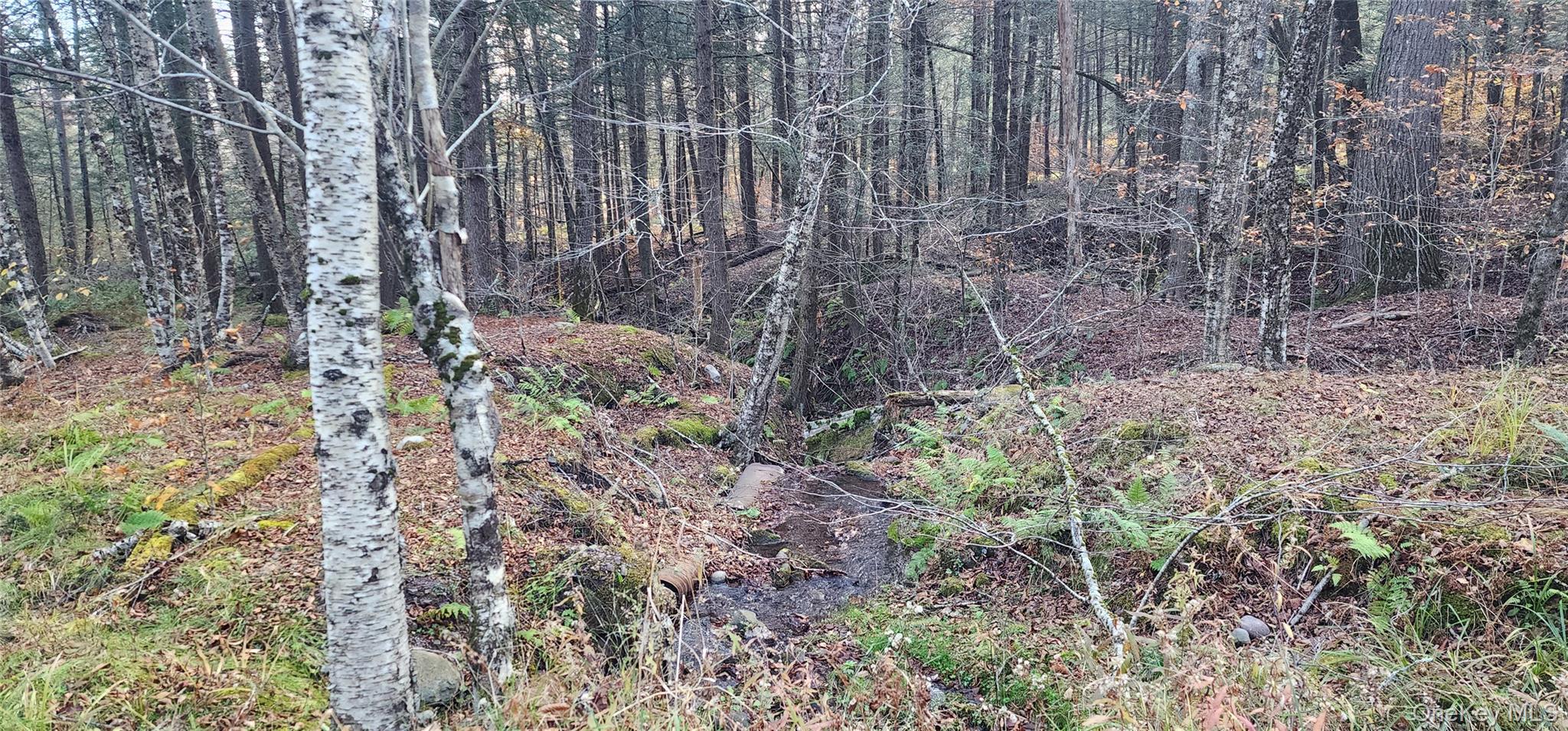 #11 photo, Hunter Road, Grahamsville , NY 12740