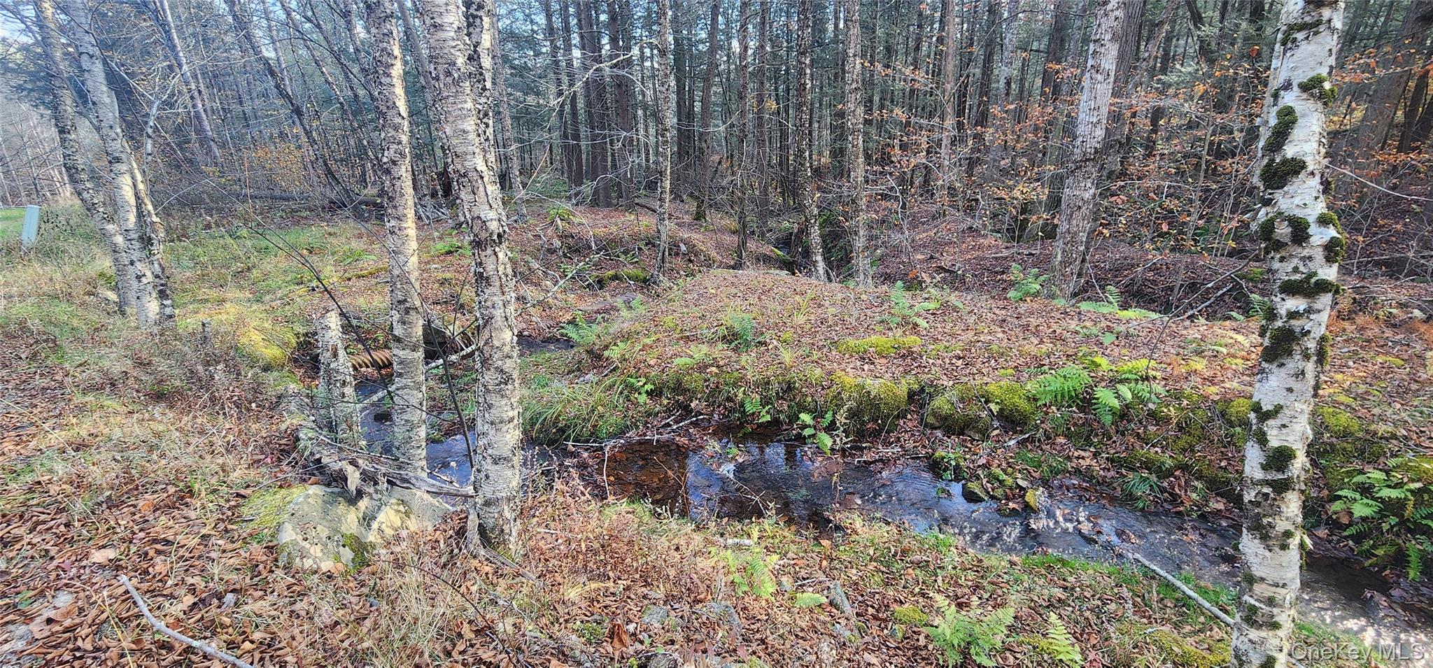 #12 photo, Hunter Road, Grahamsville , NY 12740