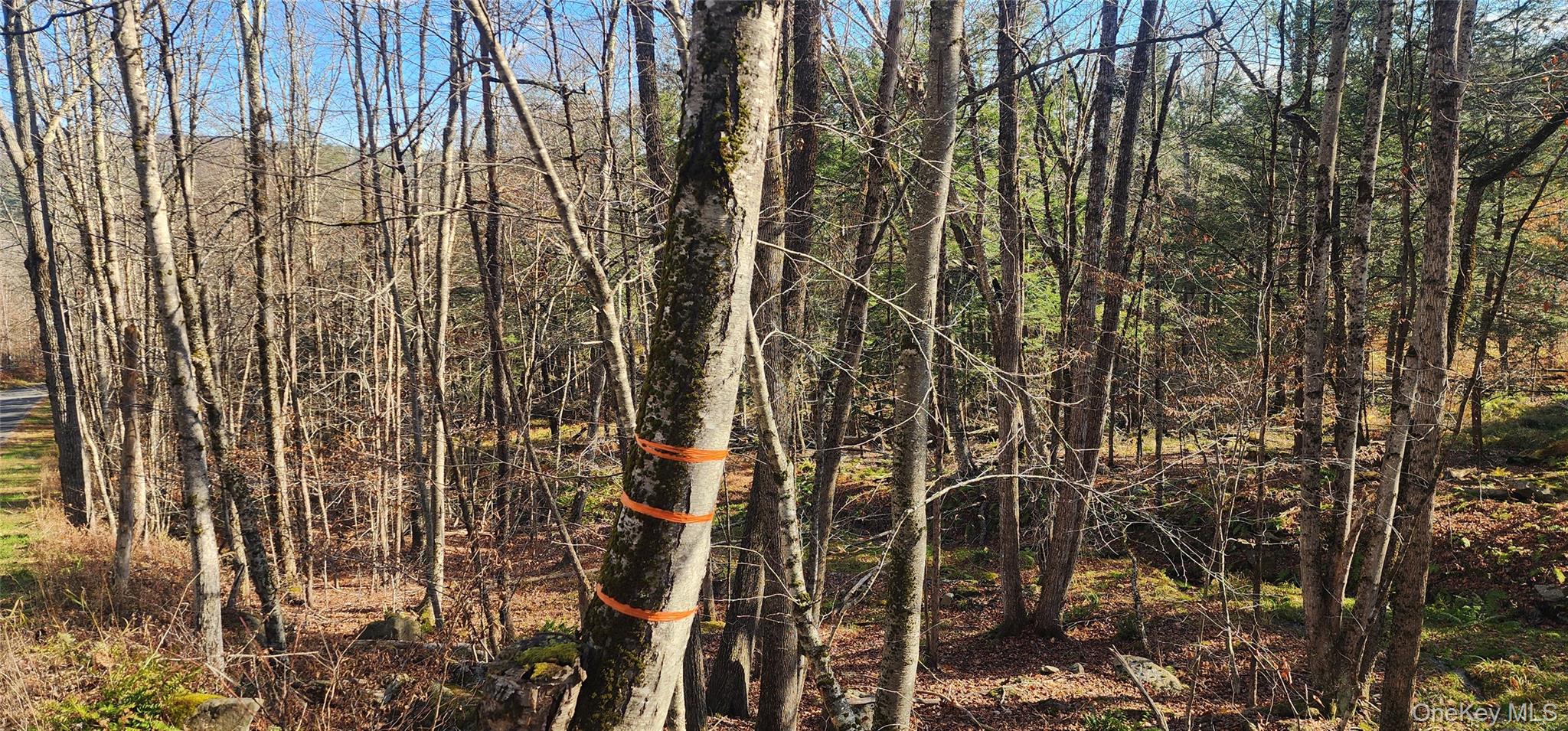 #13 photo, Hunter Road, Grahamsville , NY 12740