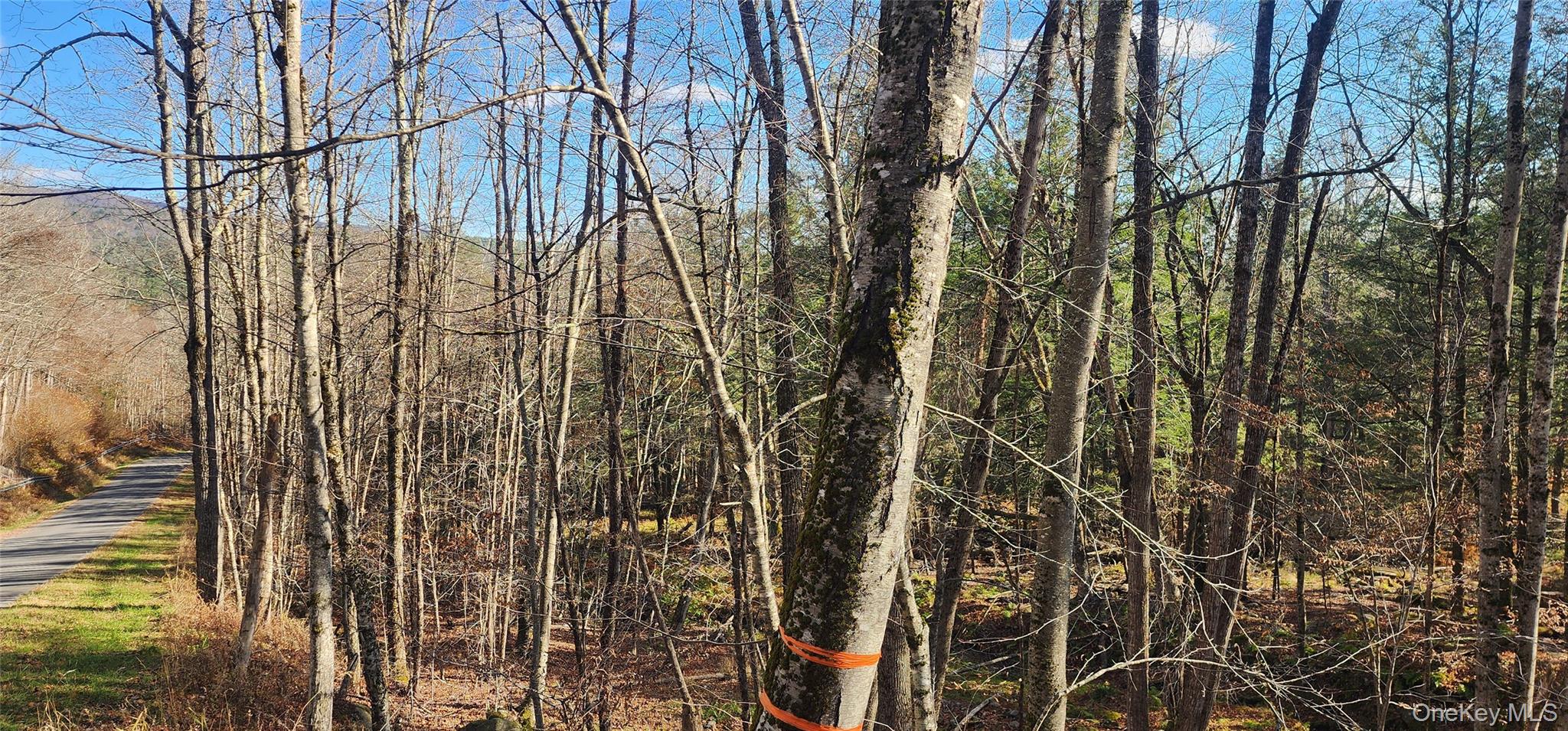 #14 photo, Hunter Road, Grahamsville , NY 12740