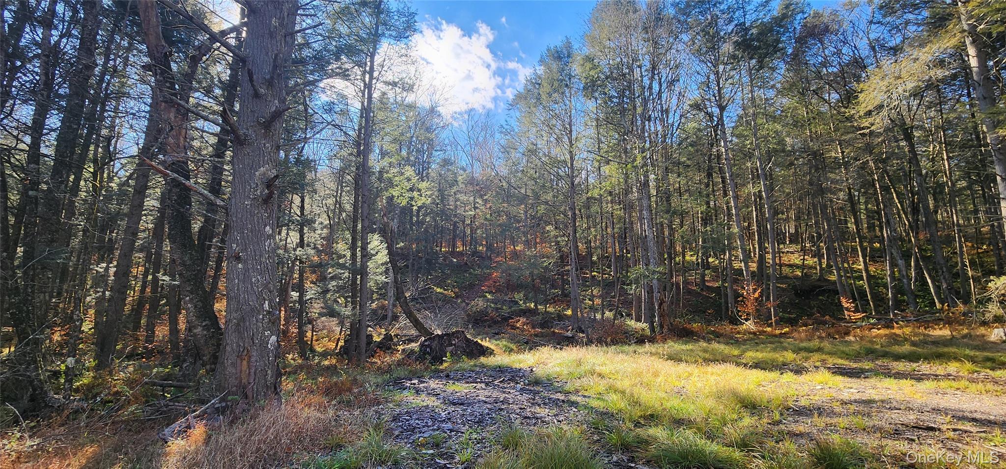 #15 photo, Hunter Road, Grahamsville , NY 12740