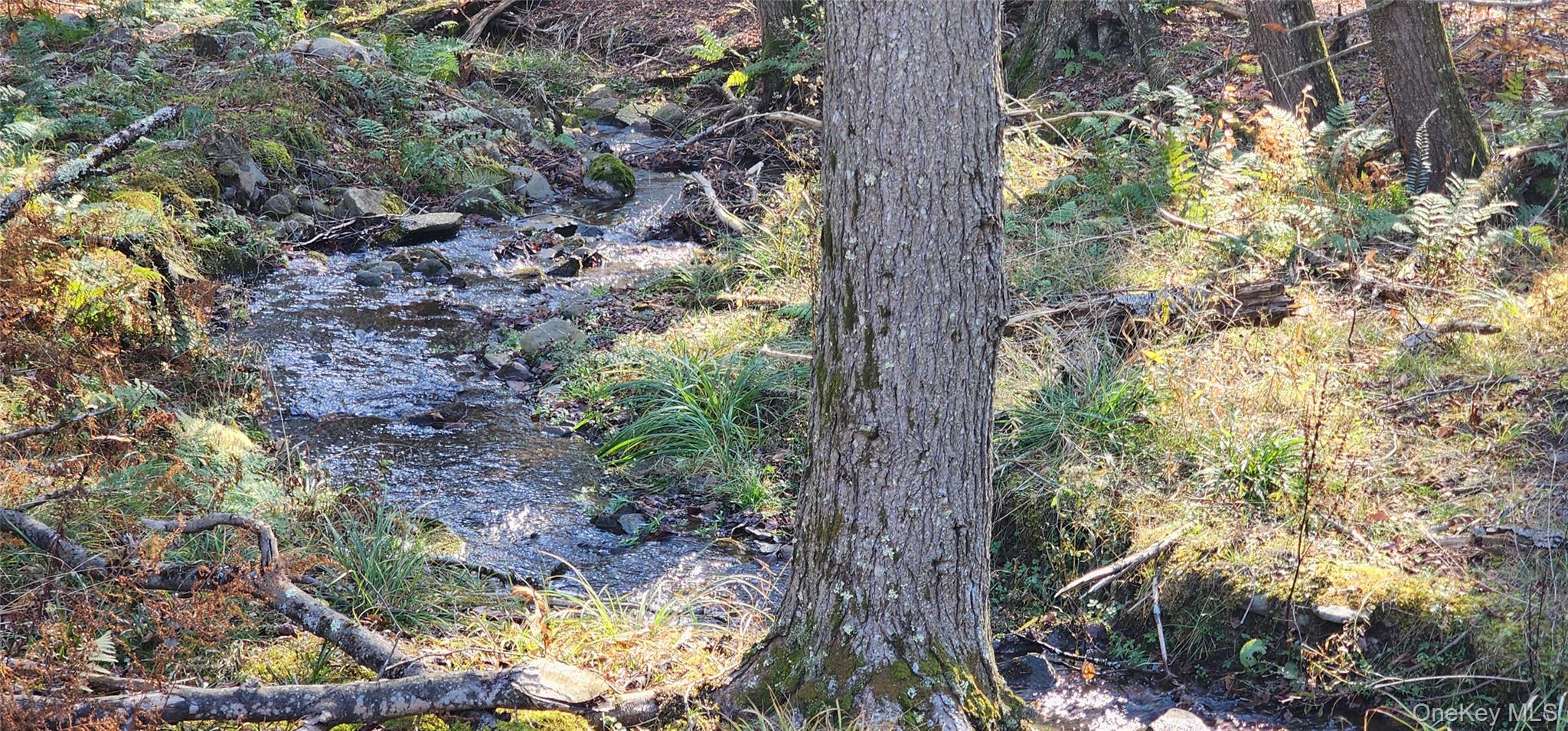 #16 photo, Hunter Road, Grahamsville , NY 12740