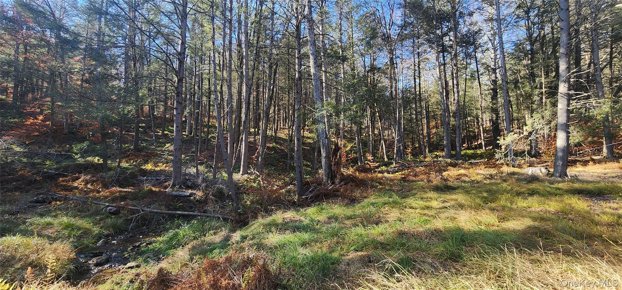 #17 photo, Hunter Road, Grahamsville , NY 12740