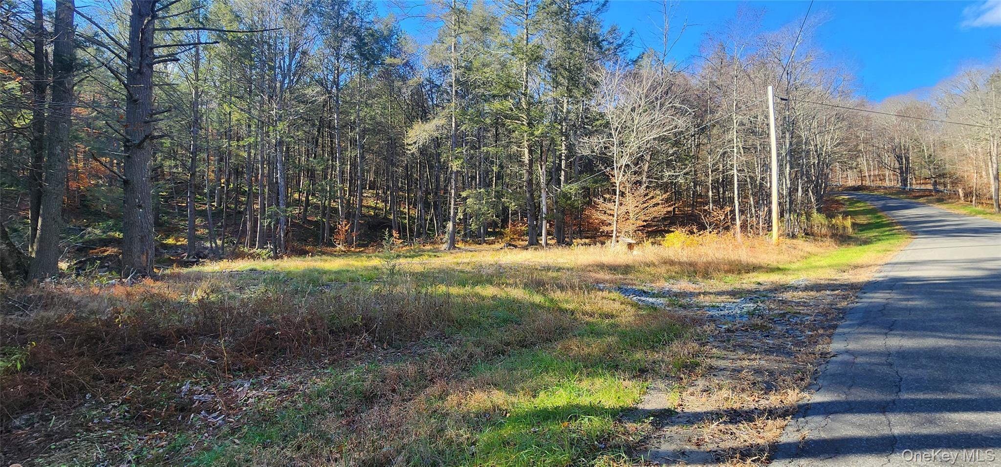 #2 photo, Hunter Road, Grahamsville , NY 12740