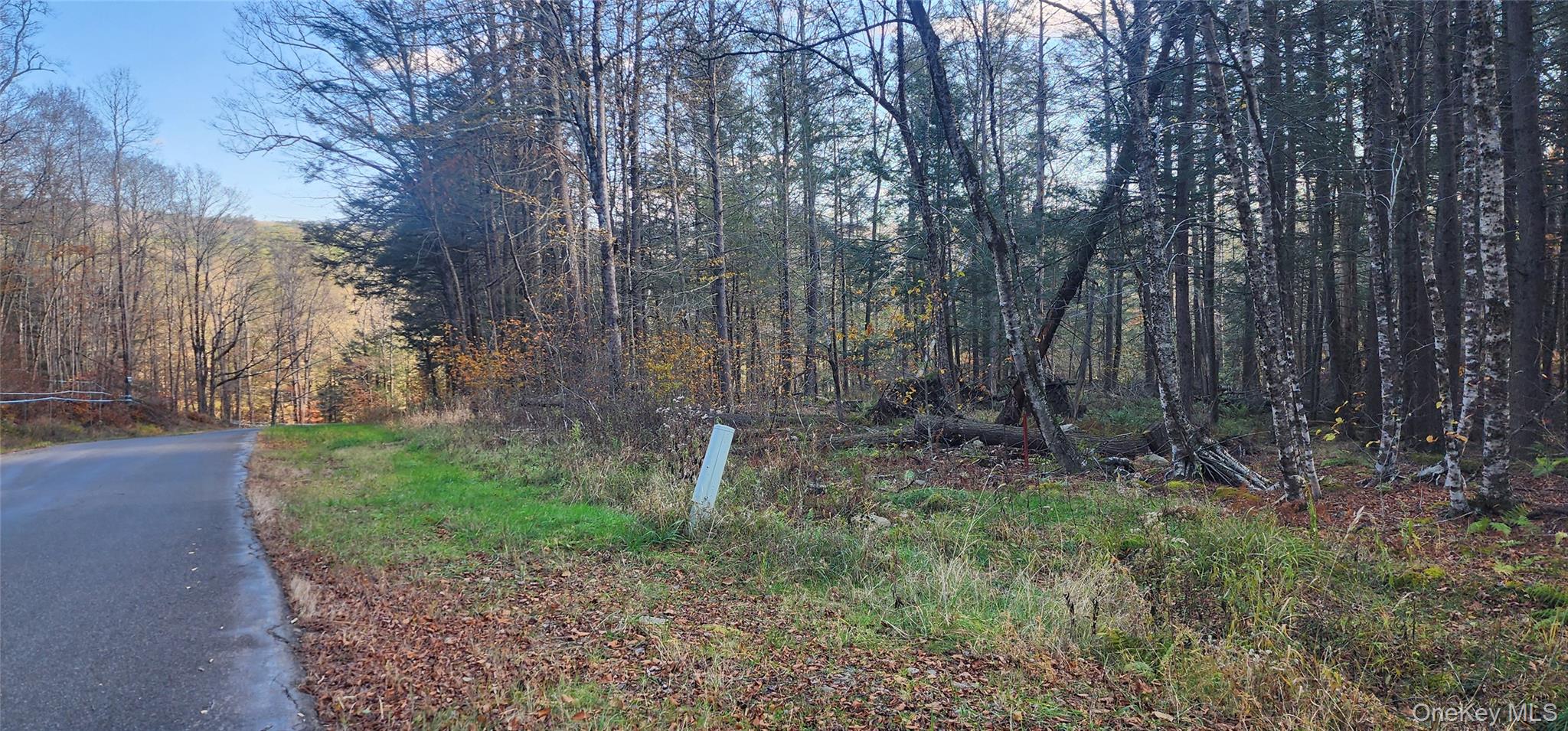 #3 photo, Hunter Road, Grahamsville , NY 12740