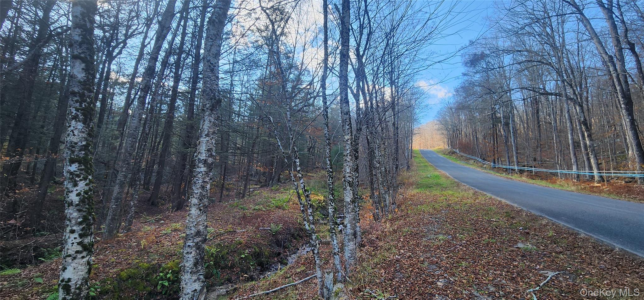 #4 photo, Hunter Road, Grahamsville , NY 12740