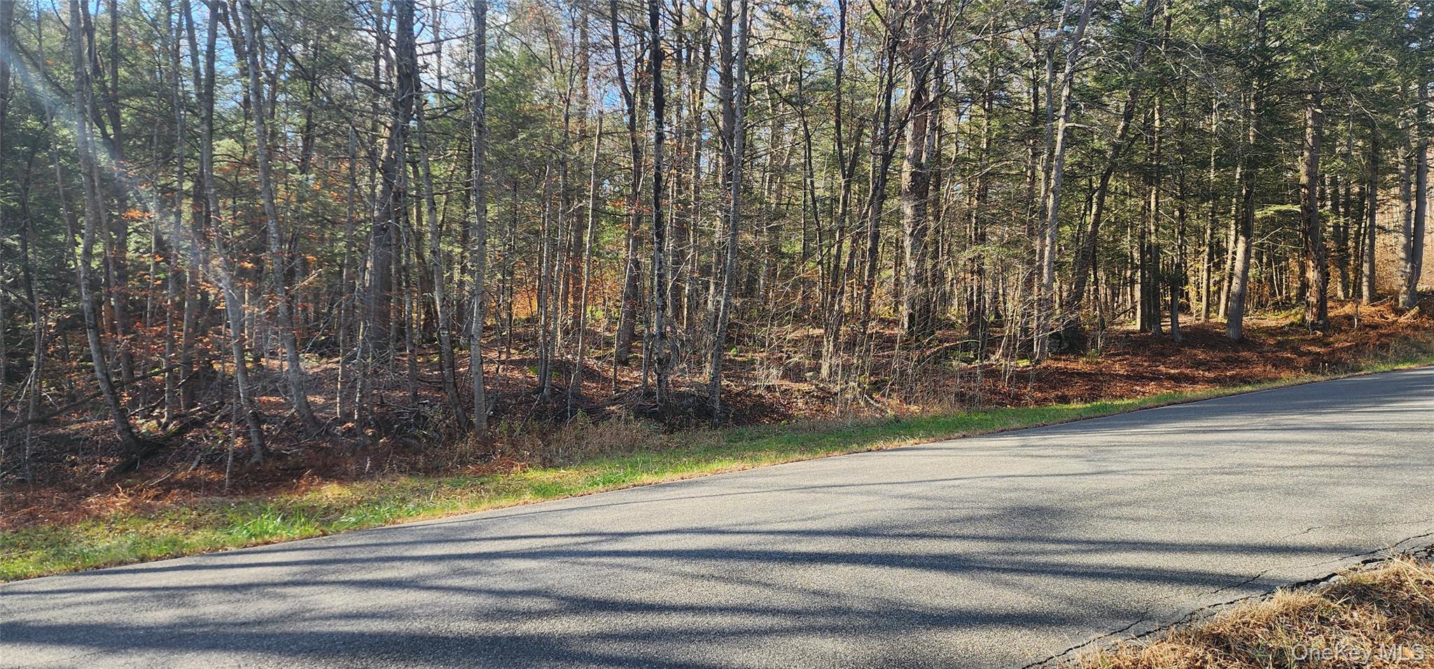 #6 photo, Hunter Road, Grahamsville , NY 12740