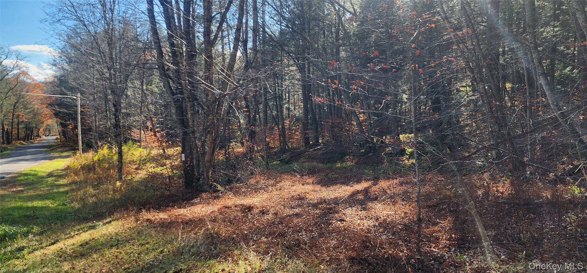 #7 photo, Hunter Road, Grahamsville , NY 12740