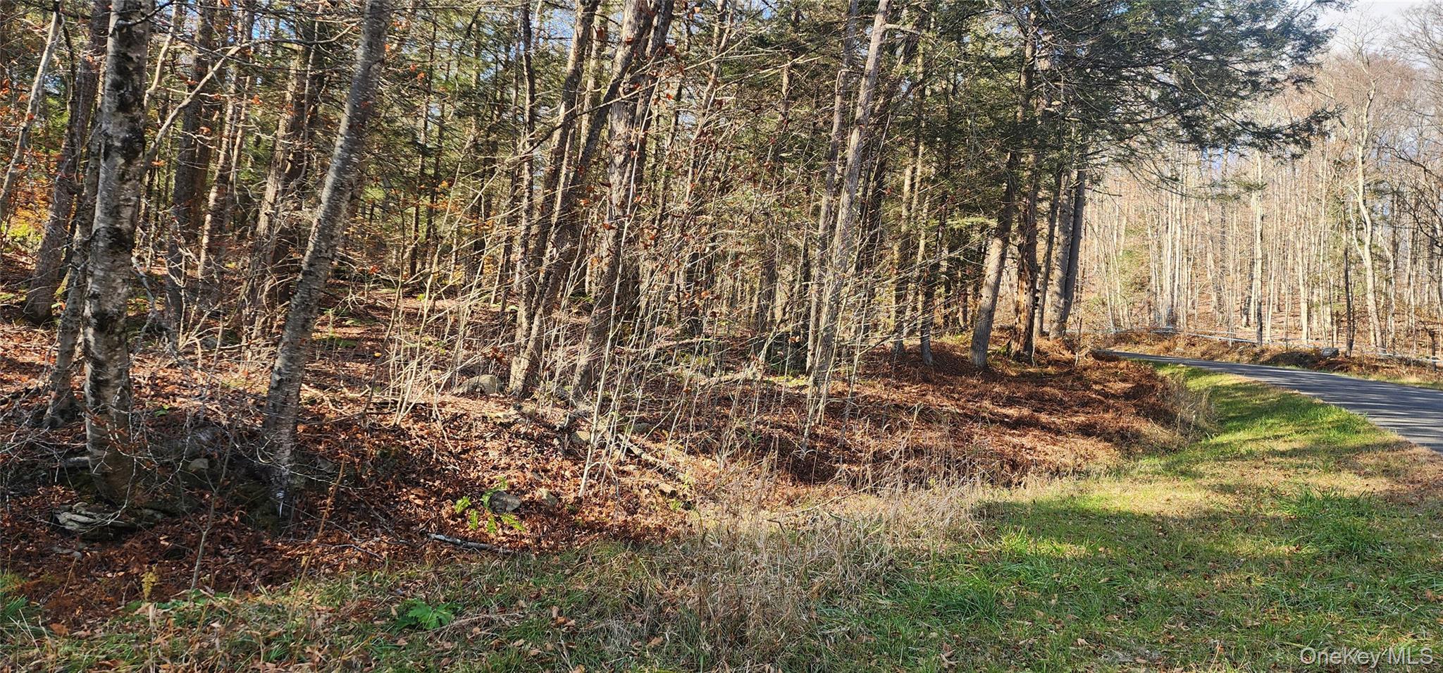 #8 photo, Hunter Road, Grahamsville , NY 12740