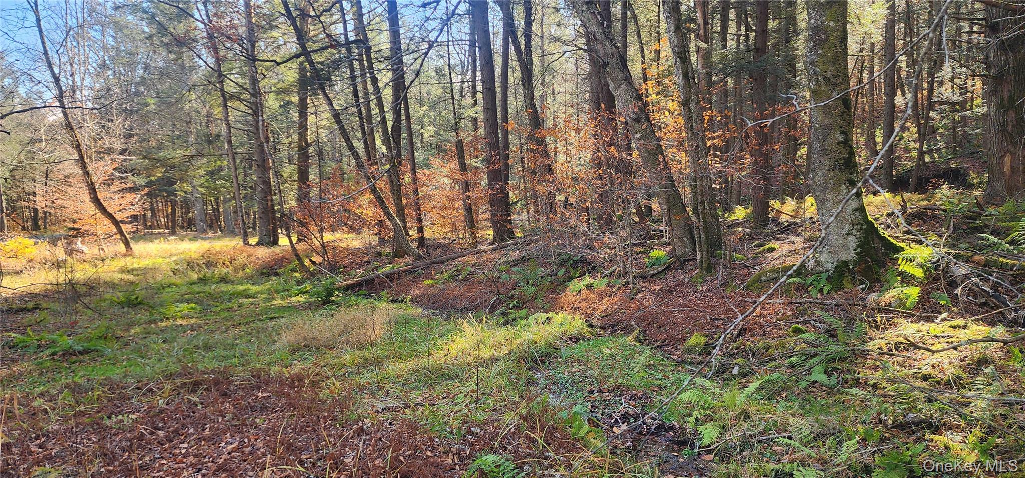 #9 photo, Hunter Road, Grahamsville , NY 12740