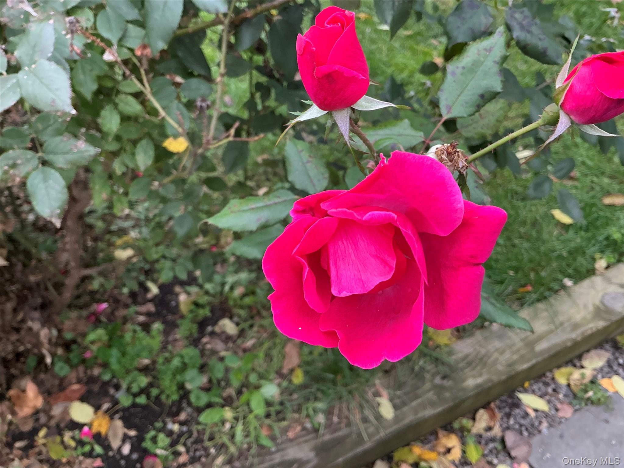 #17 photo, 66 Dodge Street, Hudson , NY 12534