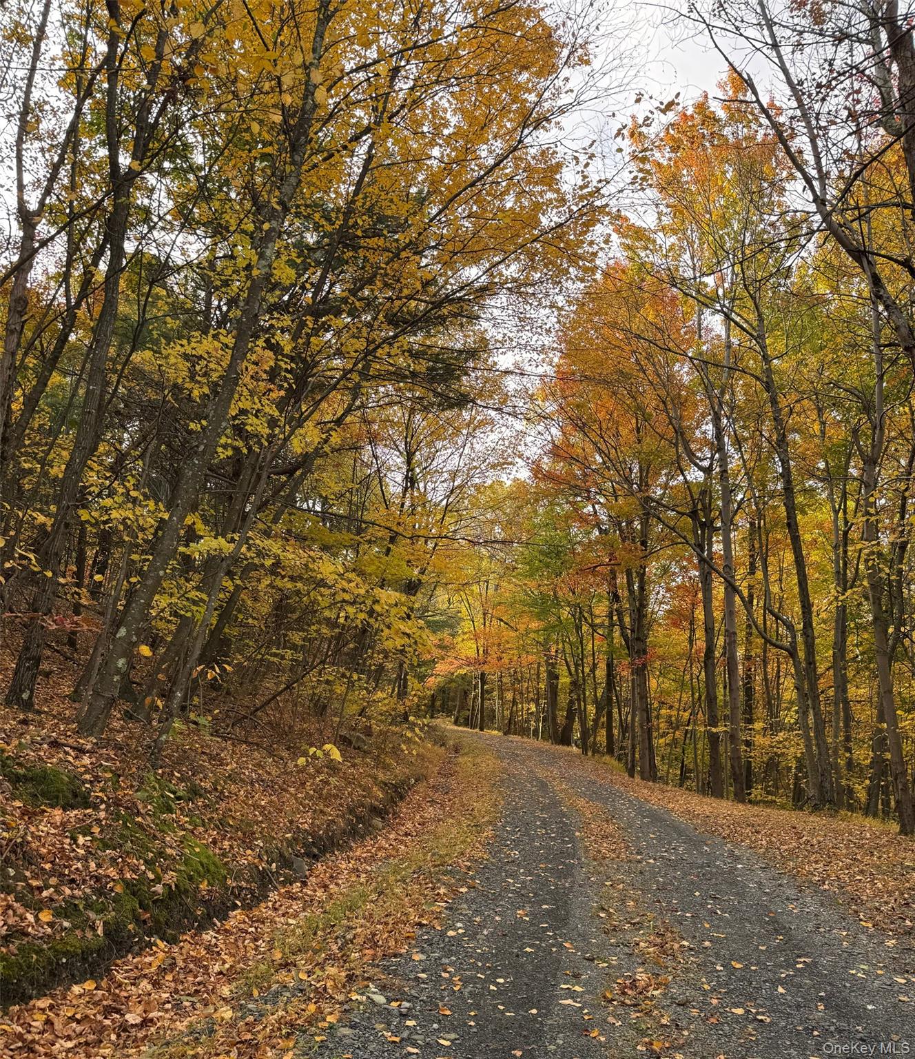 #1 photo, 100 Knob Hill Road, Stanfordville , NY 12581