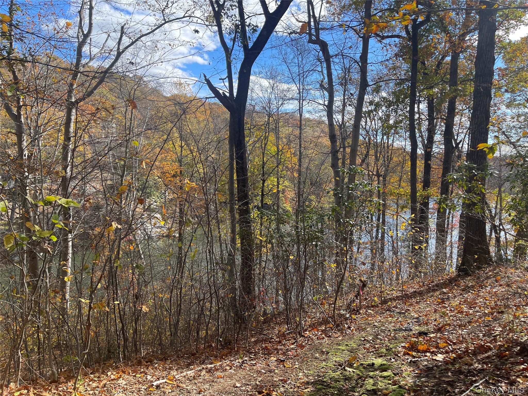 #10 photo, 767 King Street, Chappaqua , NY 