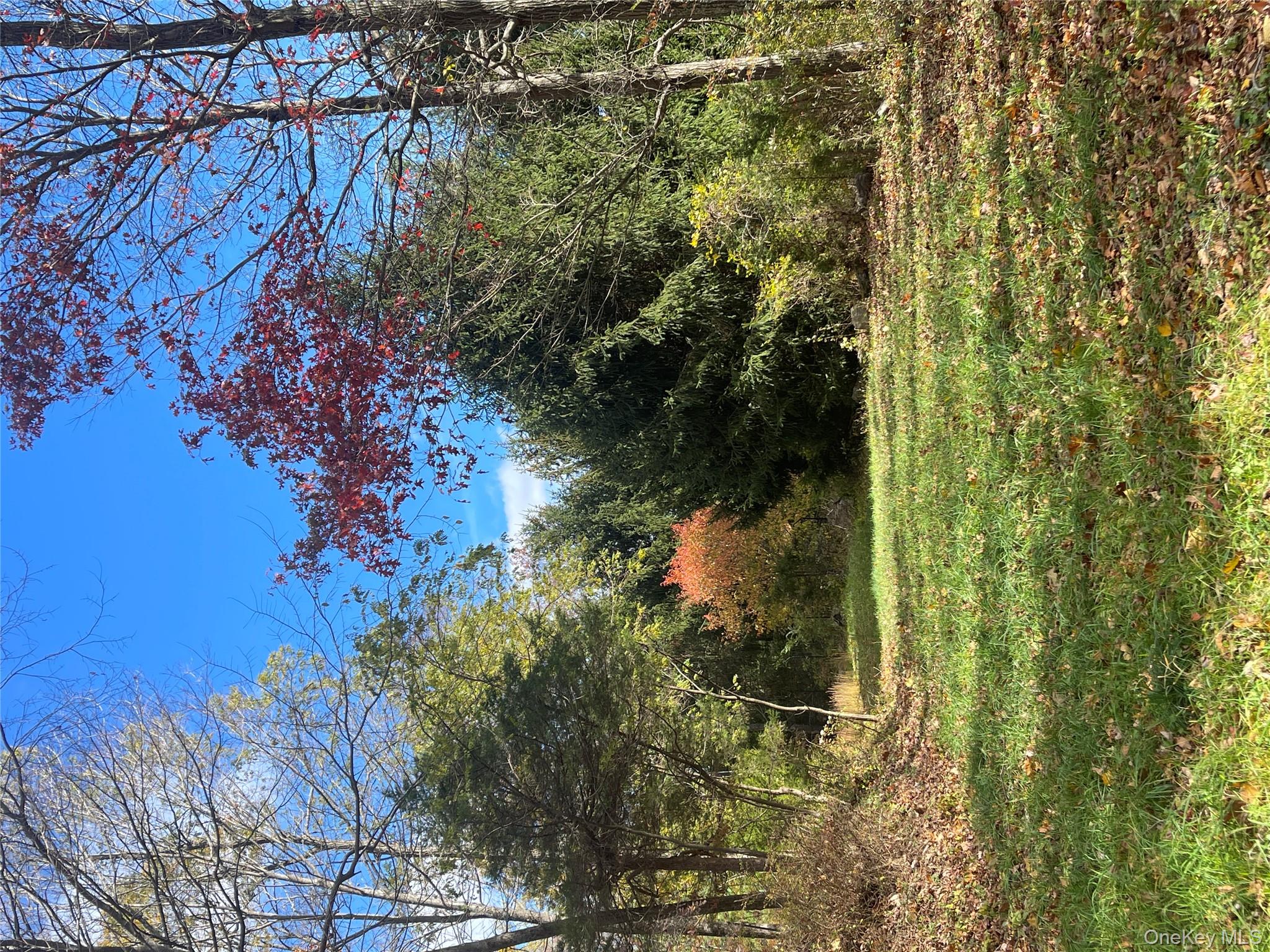 #9 photo, 767 King Street, Chappaqua , NY 