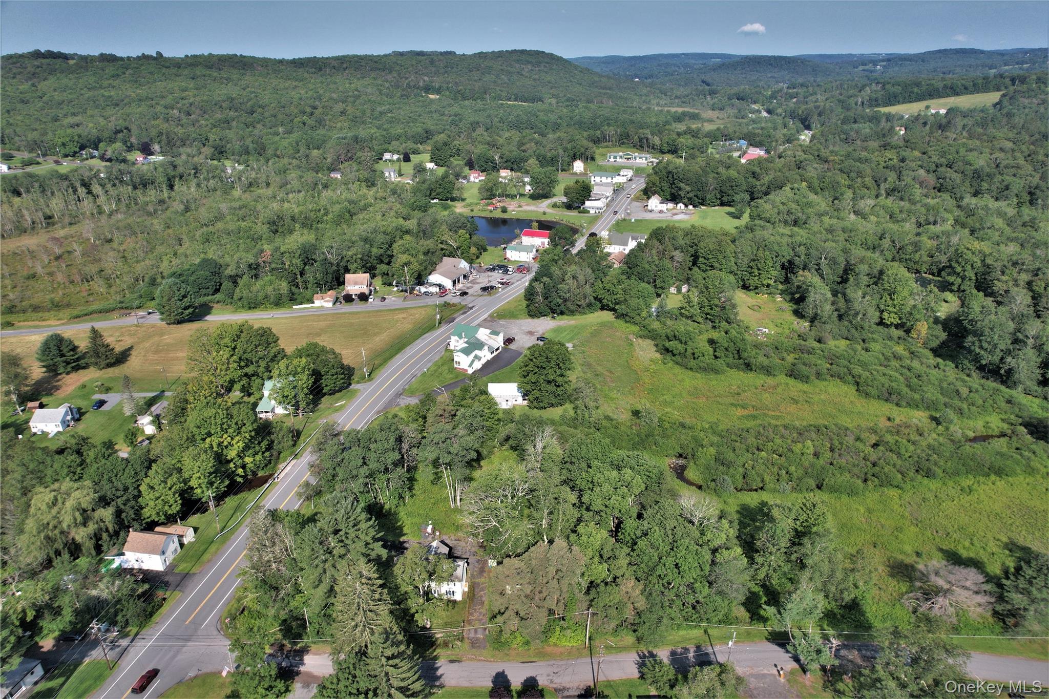 #1 photo, *00 Rt. 52 and Mineral Springs Road, White Sulphur Spring , NY 12787