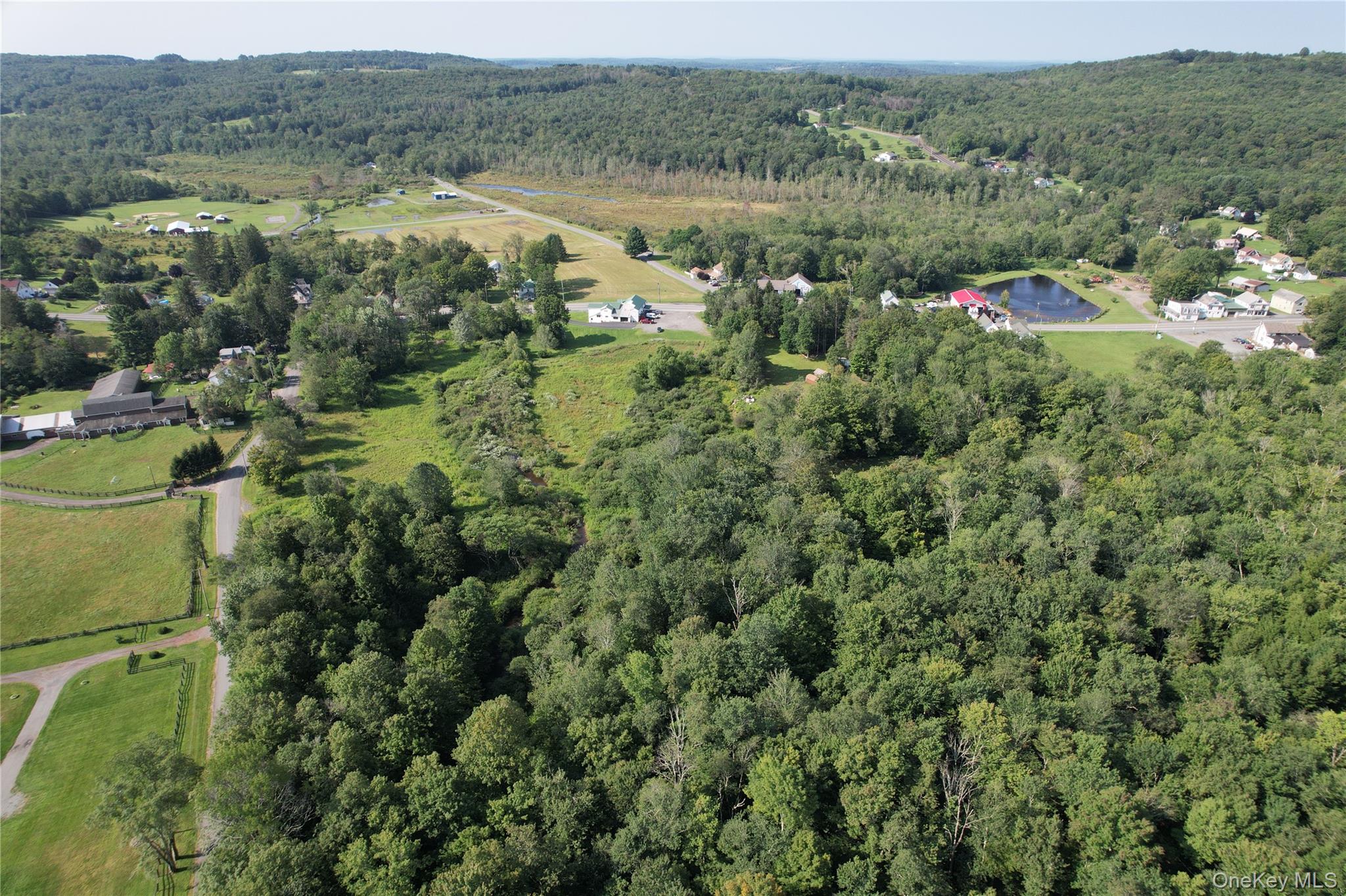 #10 photo, *00 Rt. 52 and Mineral Springs Road, White Sulphur Spring , NY 12787