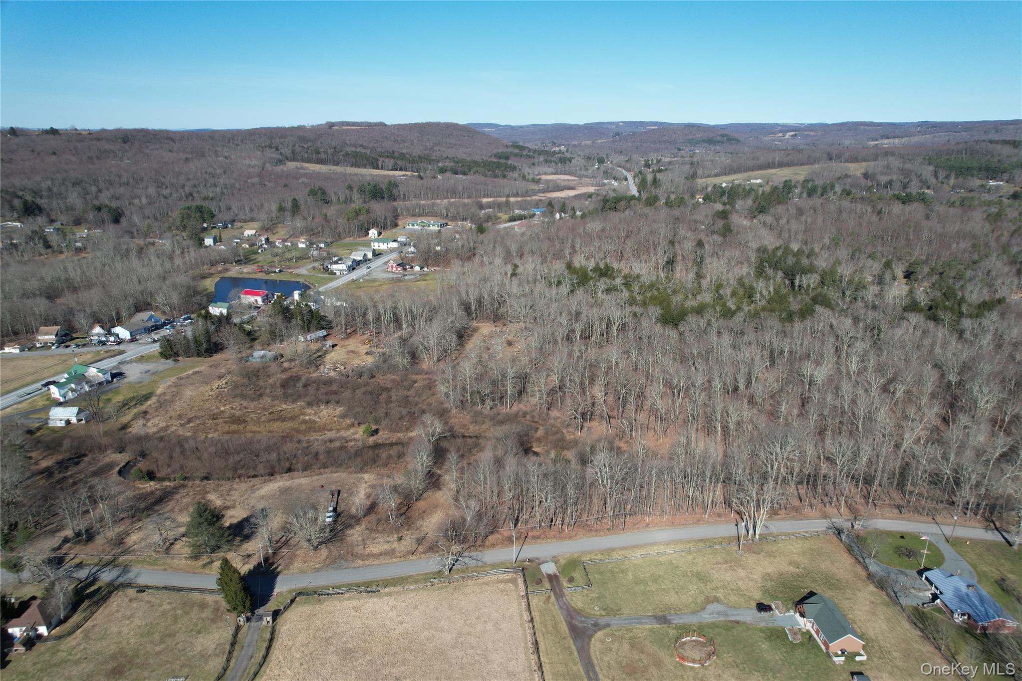 #11 photo, *00 Rt. 52 and Mineral Springs Road, White Sulphur Spring , NY 12787