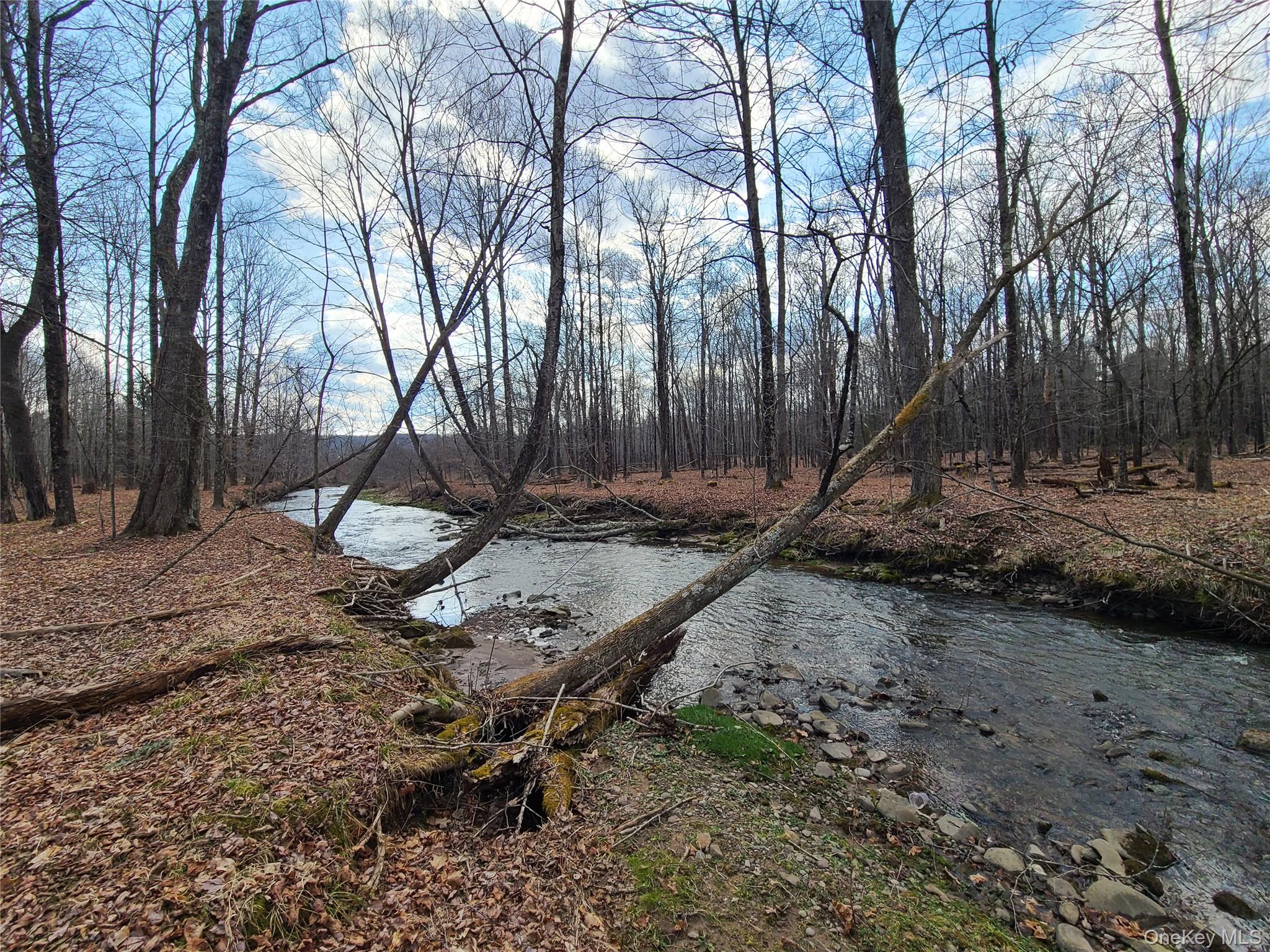 #13 photo, *00 Rt. 52 and Mineral Springs Road, White Sulphur Spring , NY 12787