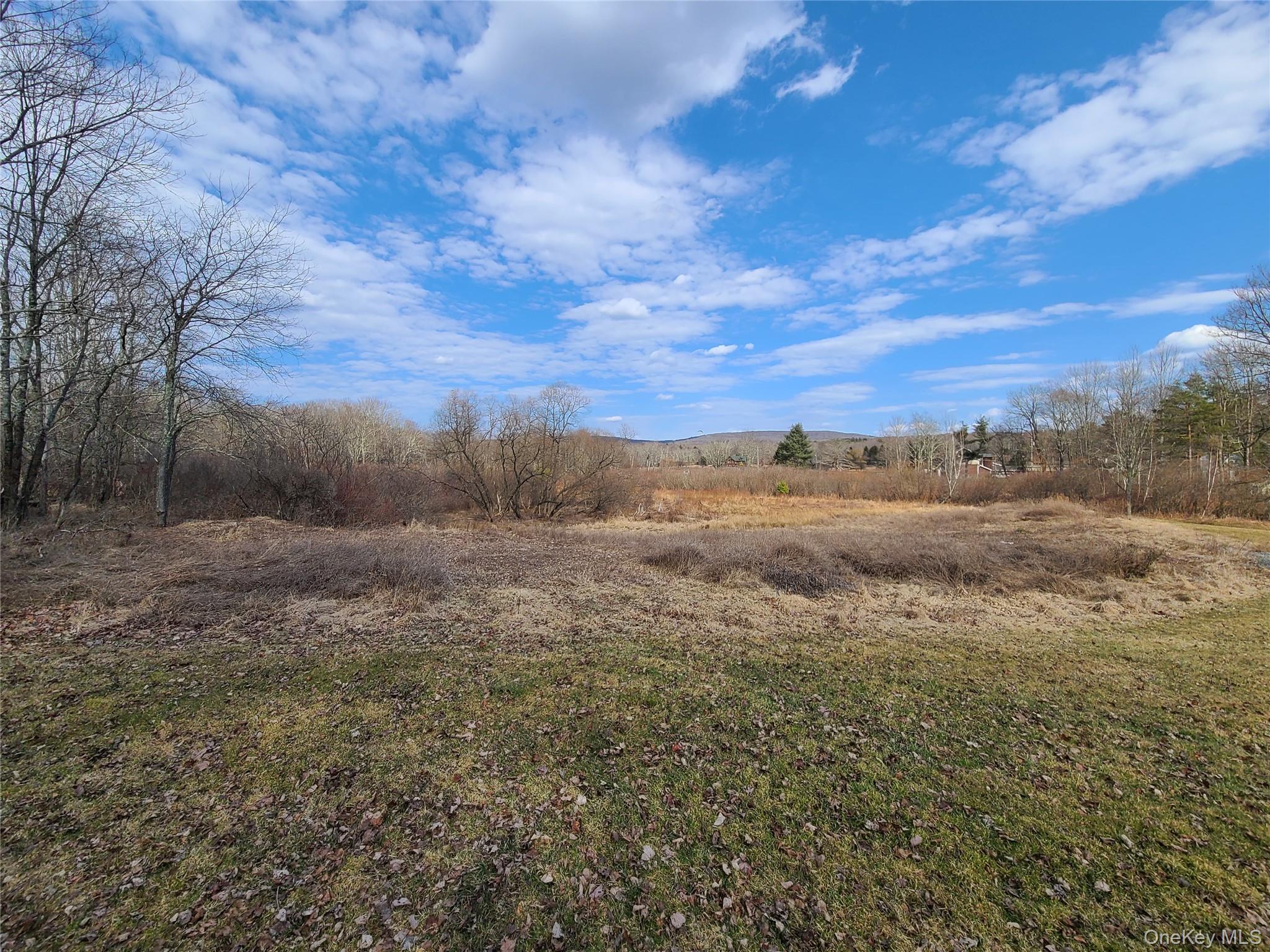 #15 photo, *00 Rt. 52 and Mineral Springs Road, White Sulphur Spring , NY 12787