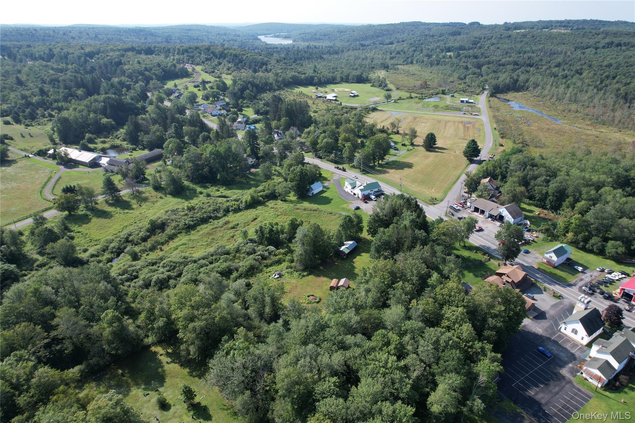 #16 photo, *00 Rt. 52 and Mineral Springs Road, White Sulphur Spring , NY 12787