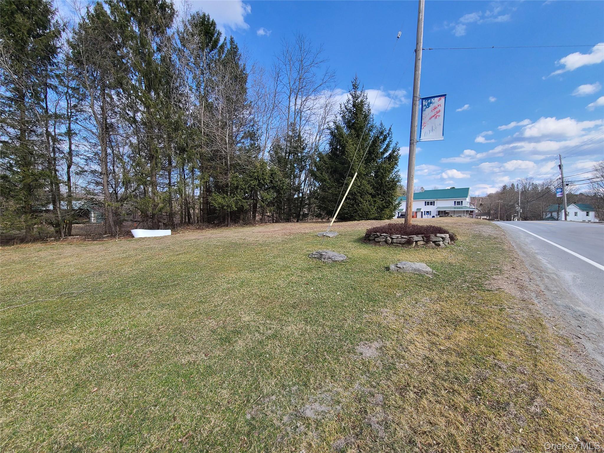 #19 photo, *00 Rt. 52 and Mineral Springs Road, White Sulphur Spring , NY 12787